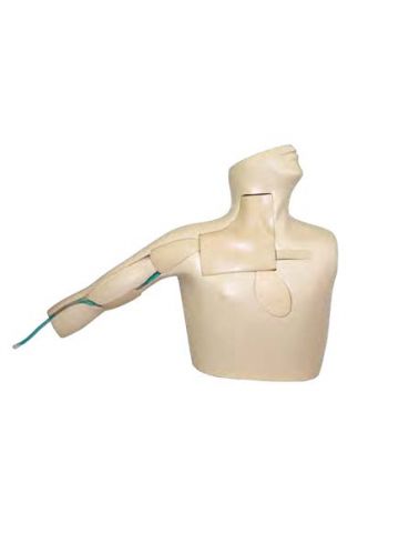 PICC Ultrasound Training Model