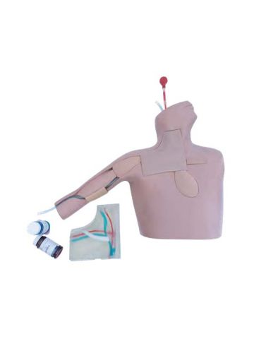 Central Venous Catheterization Ultrasound Training Model
