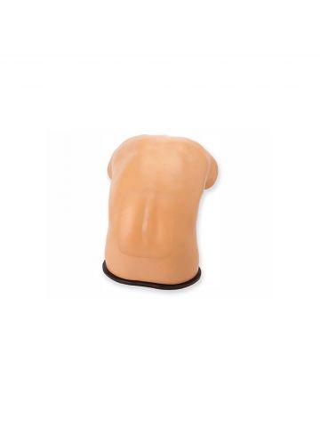 Epidural Ultrasound Training Model