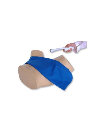 Transvaginal Ultrasound Training Model