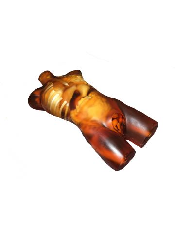 Adult Torso for X-Ray CT, MRI