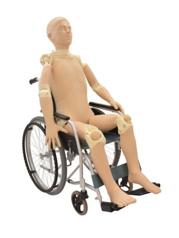 Full Body X-Ray positioning phantom