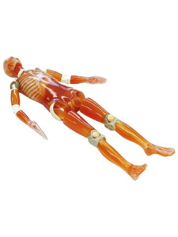 CT Whole Body Phantom with Pathologies