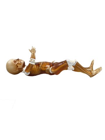Pediatric Full Body for X-Ray CT, US