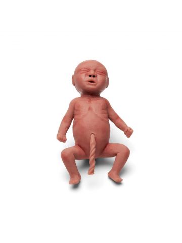 Premature Newborn manikin