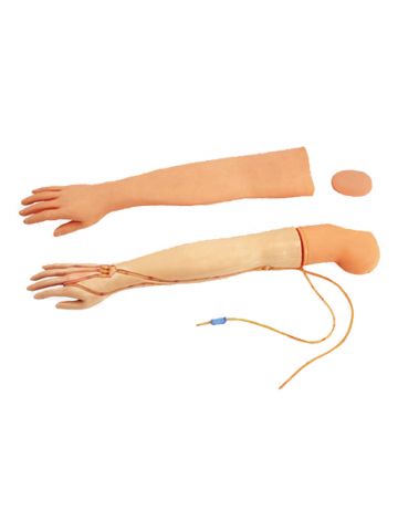 יד לתרגול לקיחת דמים IV (יד) HS2