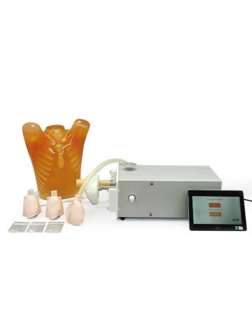 Dynamic Heart and Lung Phantom